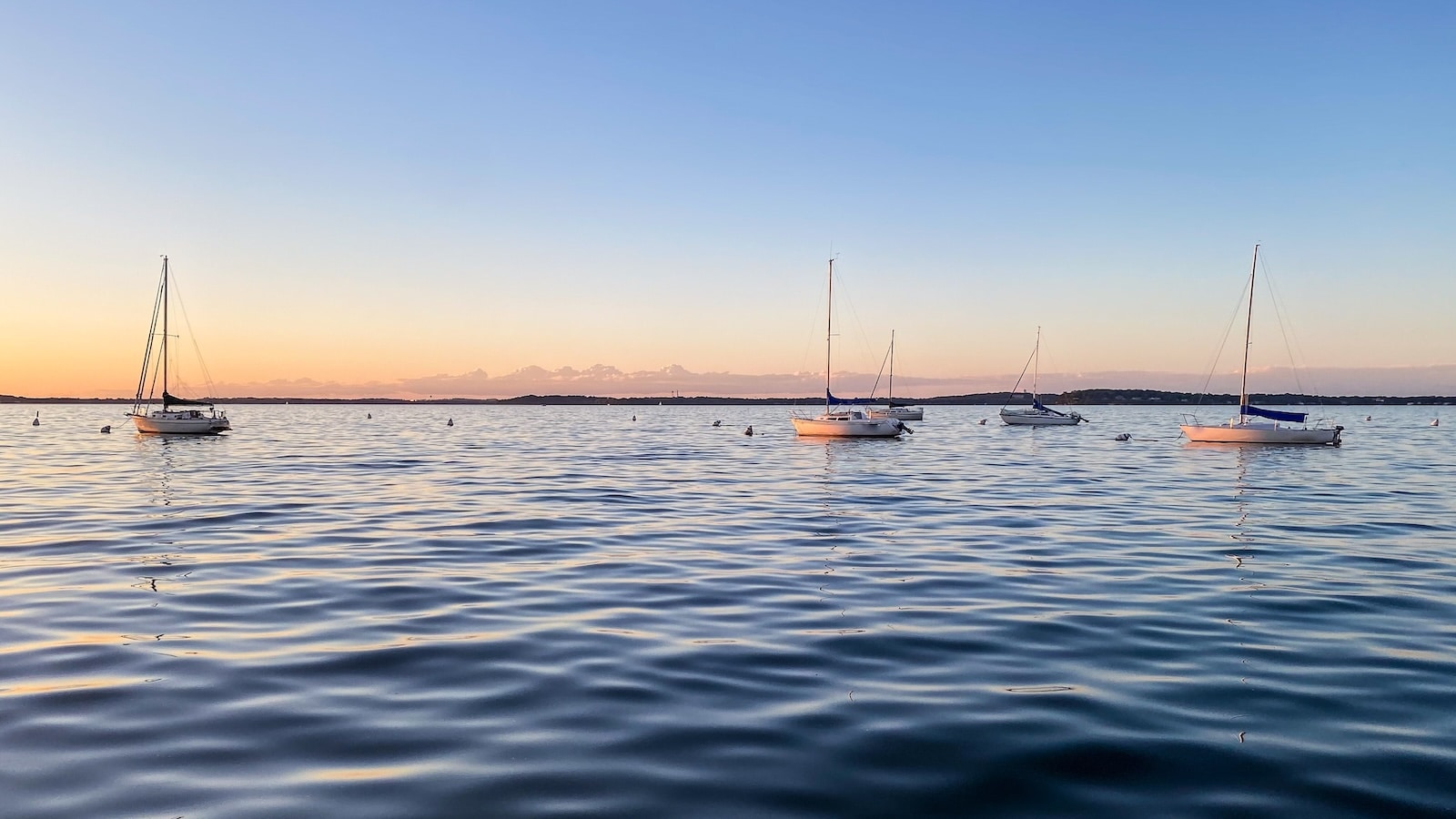 Sailboats on Lake Mendota at the Memorial Union in Madison Wisconsin at Sunset, one of the best Madison Lakes to explore on your next visit